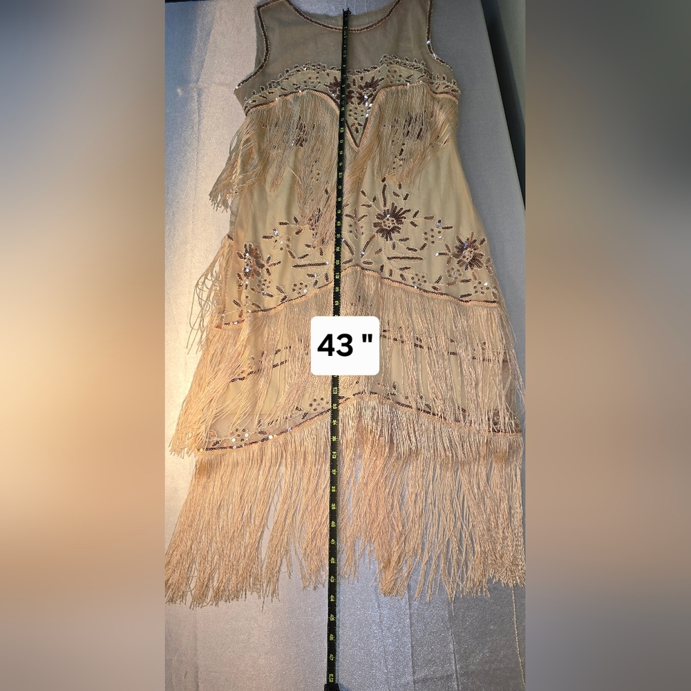 Fringe Dress with Floral Embroidery And Scarf Sweetv XL Party Costume Feastive - Picture 8 of 8